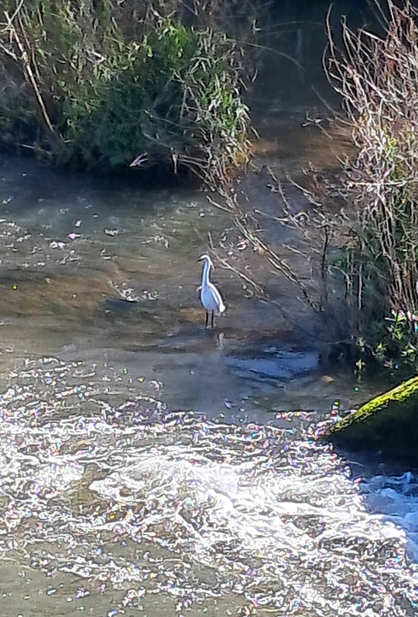 Craig from Devonshire 🚴♂️👋 tweet media