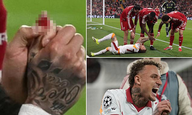 Sports Campus tweet media