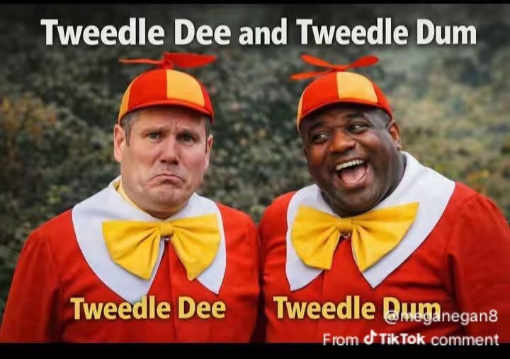 Rhys carr tweet media