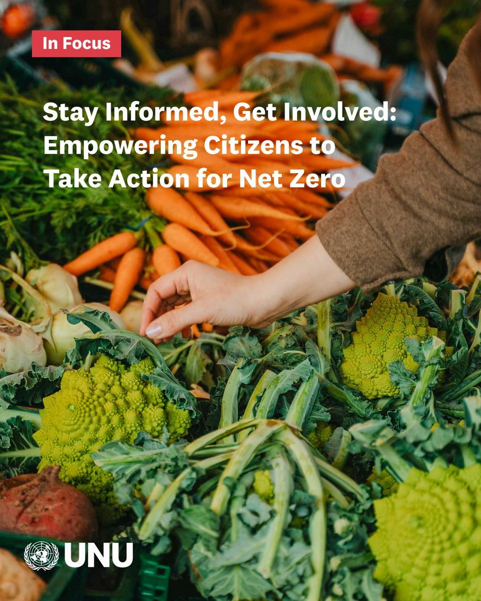 UN University tweet media