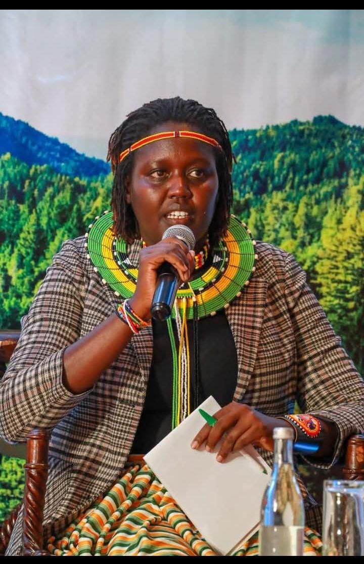 McTittyy tweet media