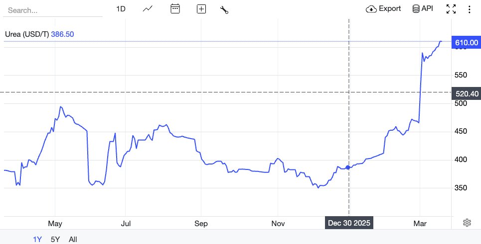 Ami Daniel tweet media