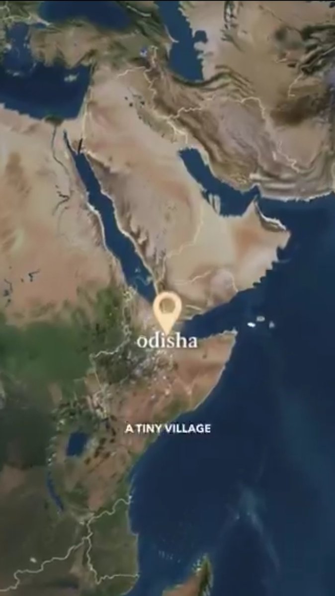 Wizquota tweet media