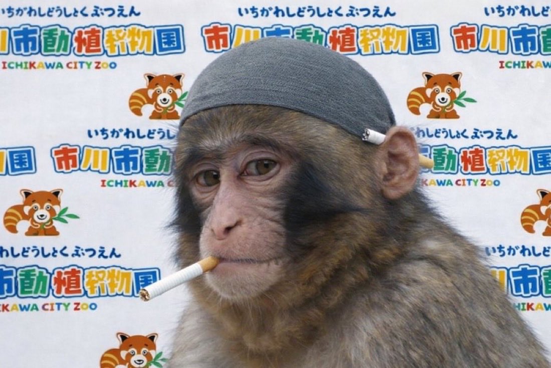 CTOMarketplace 🍇 tweet media