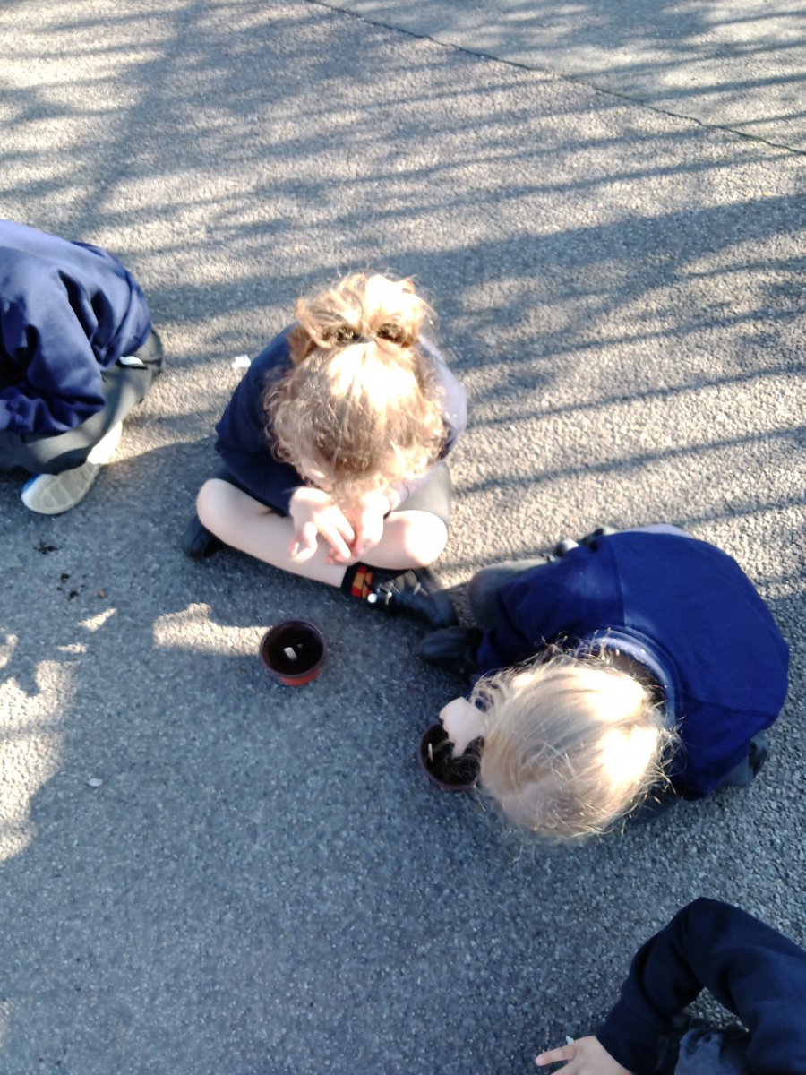 Miss Dennett tweet media