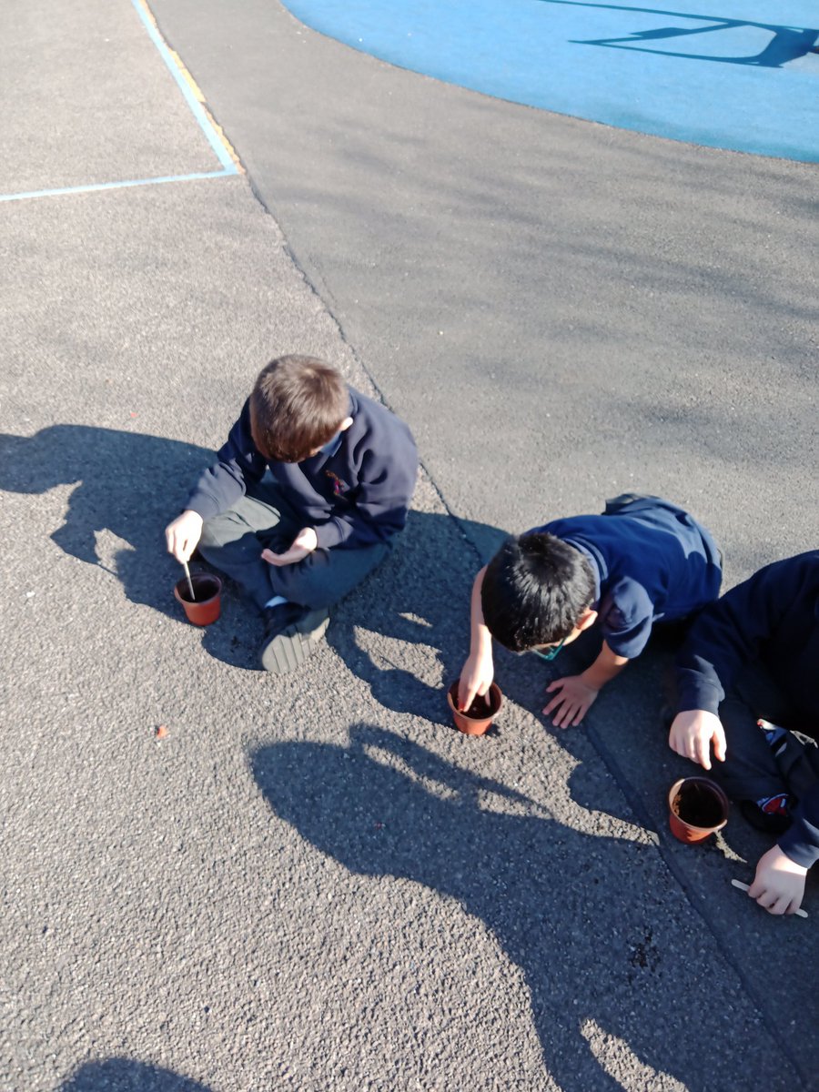 Miss Dennett tweet media