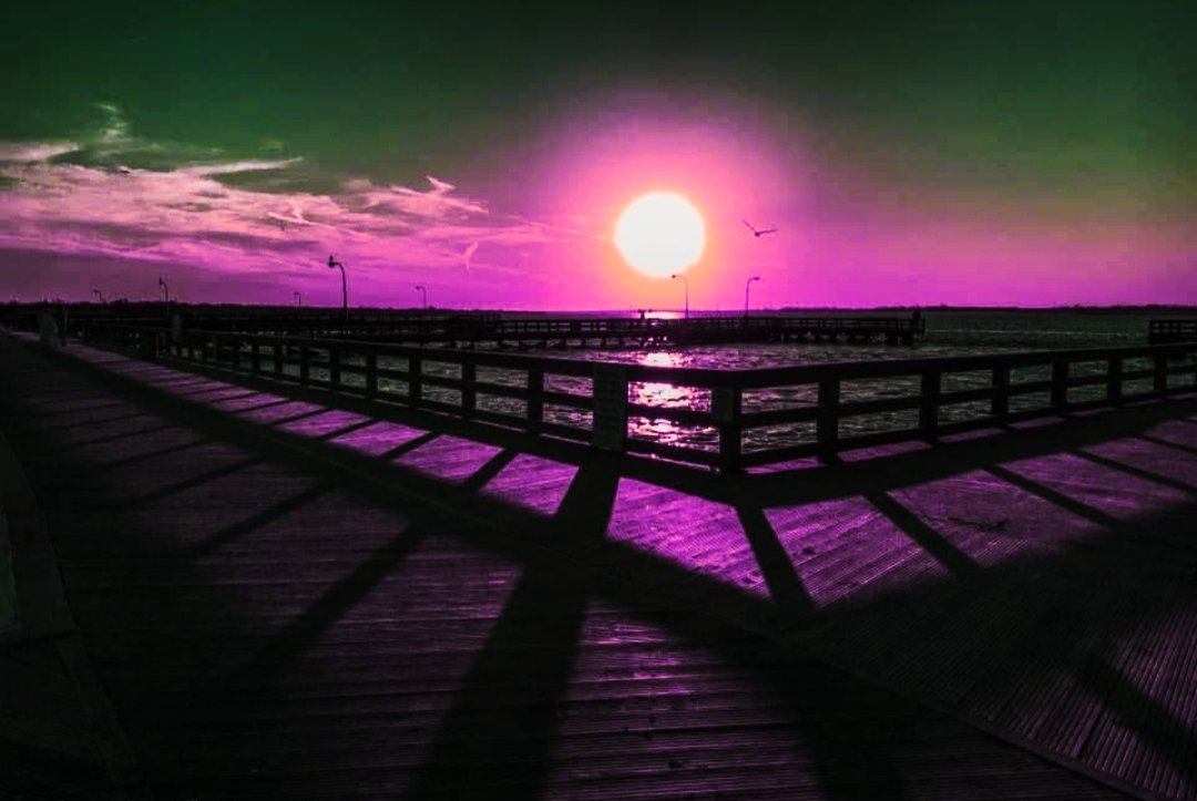 𝙰𝚕𝚒✨𝙲𝚊𝚝𝚝𝚝 💋🐈‍⬛🖤 tweet media