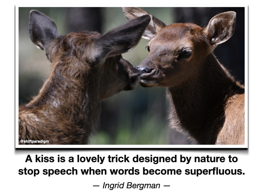 Mark E. Weston Ph.D. tweet media