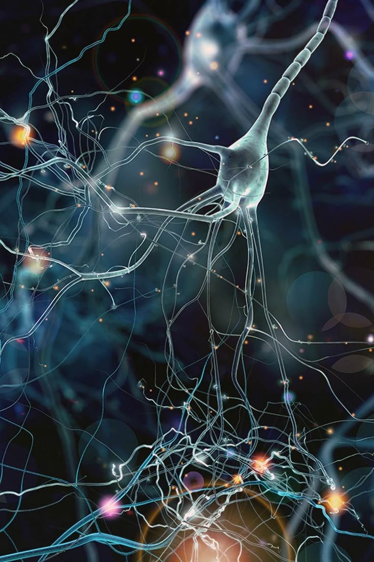 For all Curious tweet media