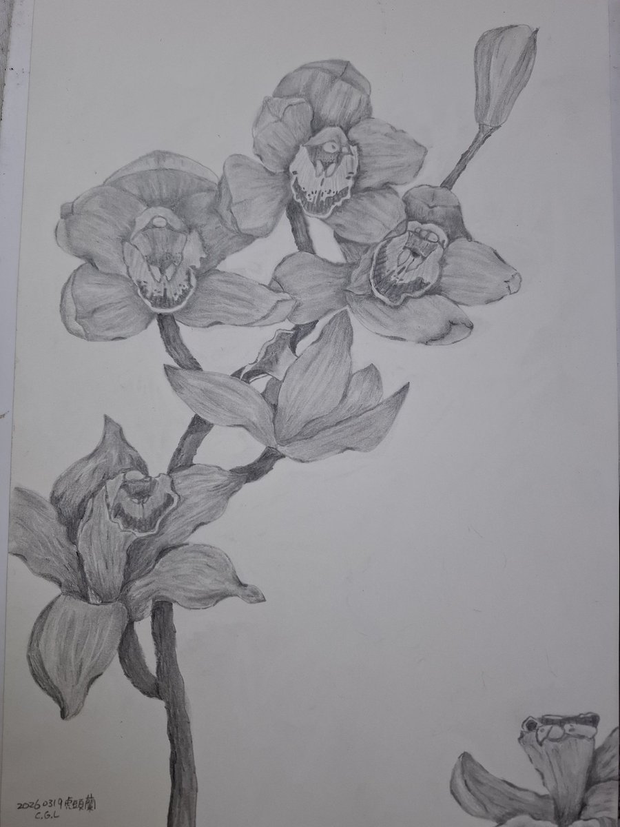 巧克愛玩紫風車 ChocoMill tweet media