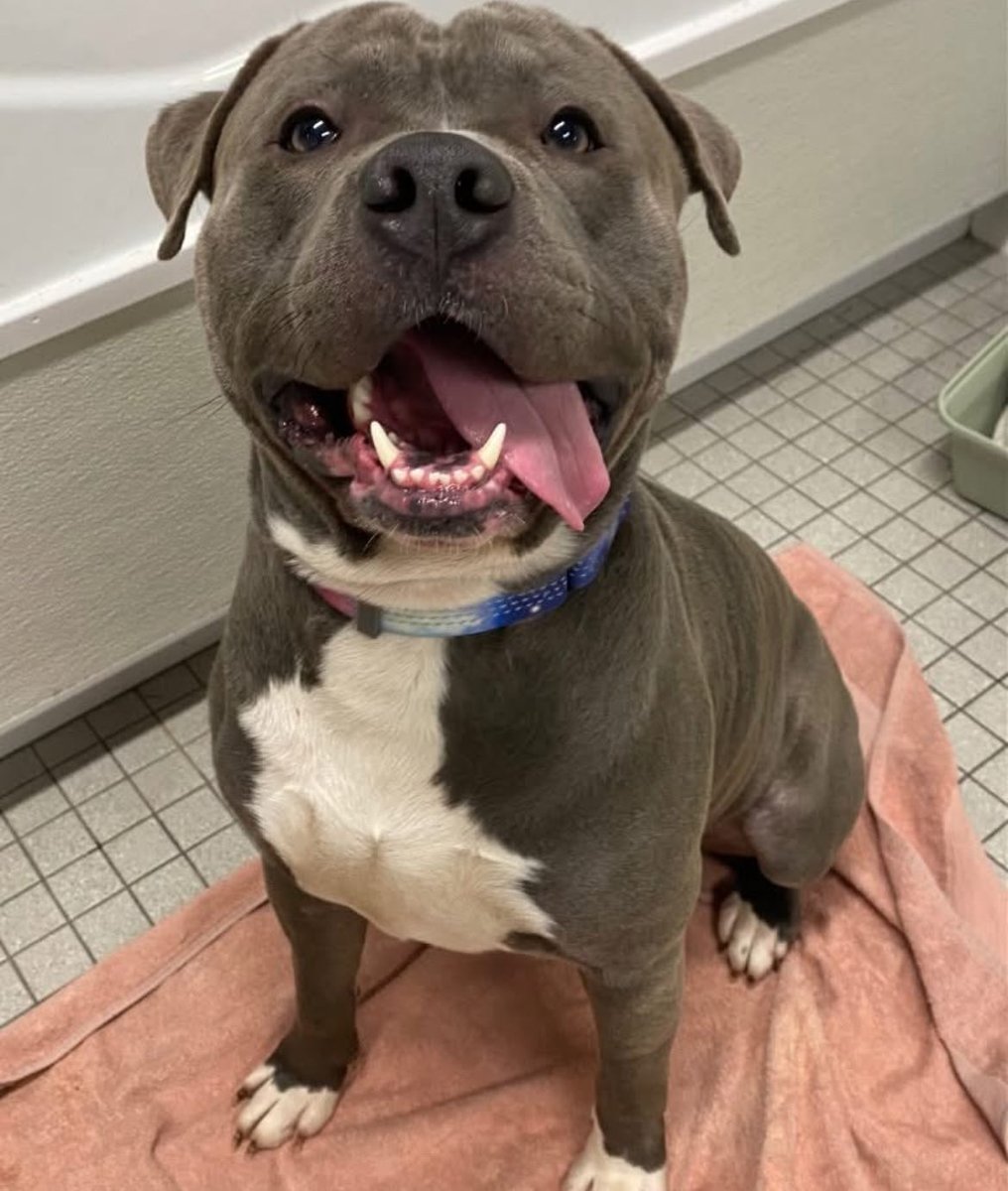 Alchemist tweet media