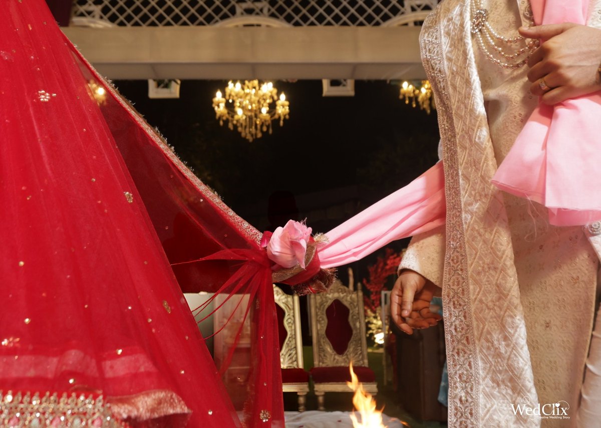 HewisLamilton🐢 tweet media