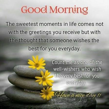 @EricWalker35 tweet media