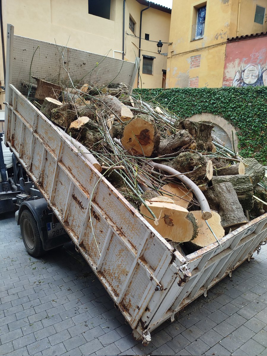 <a href="/AjuntamentBerga/">Ajuntament de Berga</a> i <a href="/CUPBerga/">CUP Berga ✊</a> podrien explicar perquè la única zona verda del cas antic de Berga està essent devastada? 
Era l'únic lloc on els veins podien prendre la fresca a l'estiu i fer un vermutet. 
Us ho carregueu tot!