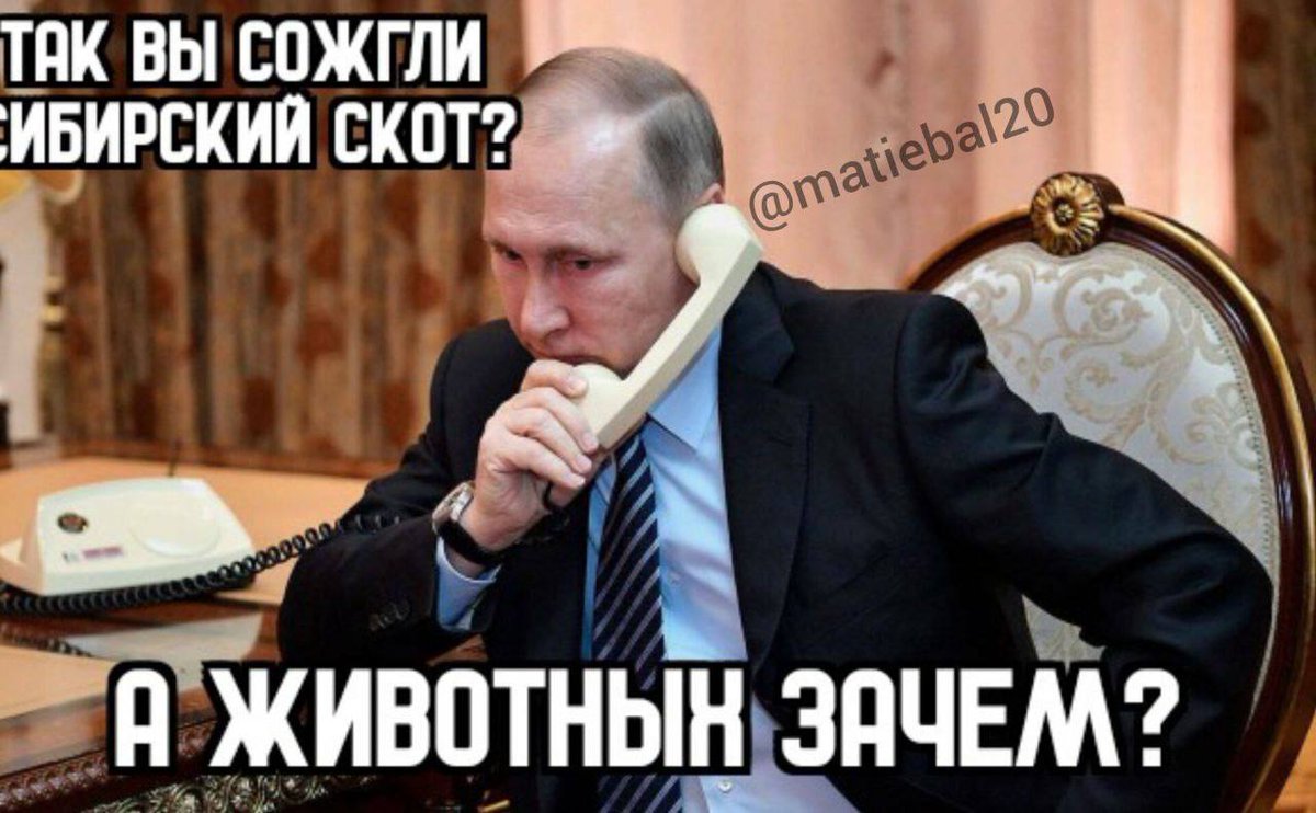 Ⓐ Мілітарна деструктура ☠️ tweet media