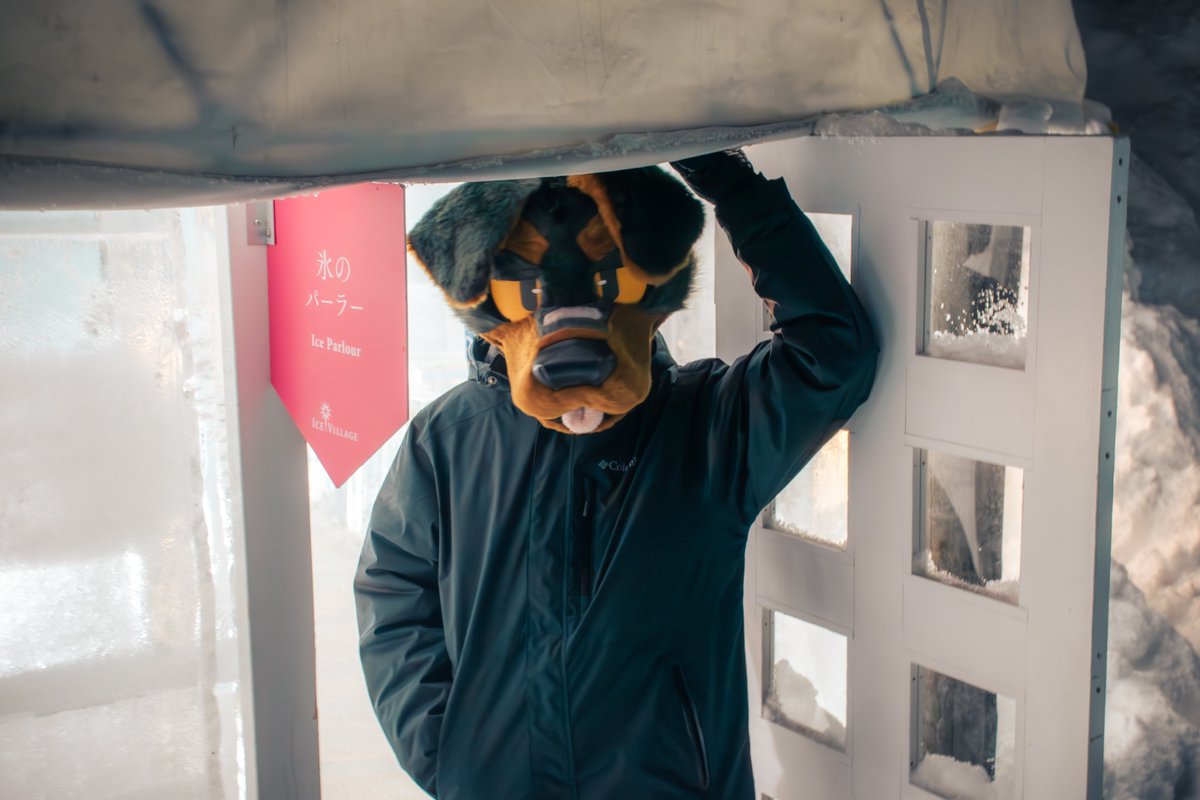 LOBO🐾 tweet media