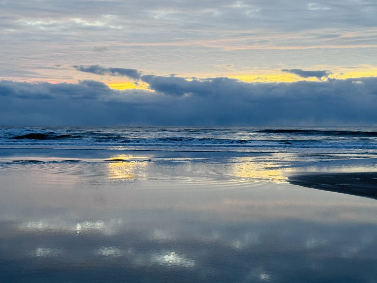 Realtor Rick 💙 tweet media