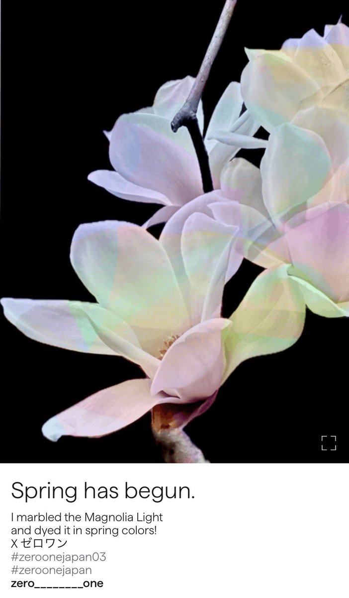 由美💐🔺abstractphotography tweet media