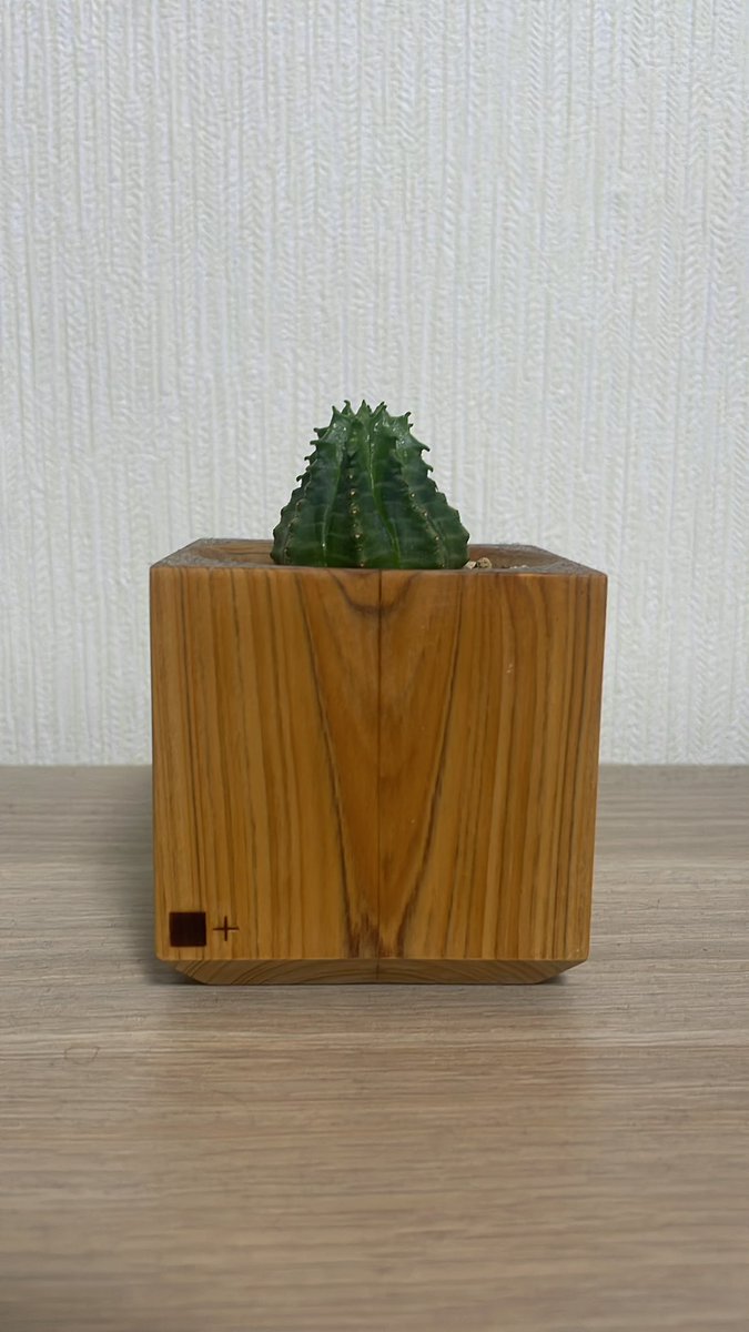 あっ！！！！！！！！！！！！！