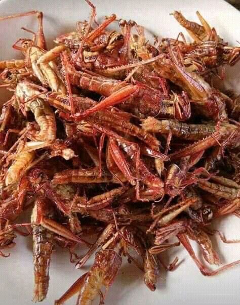 ᴮᴱᴿᴿᵞ🍀 tweet media