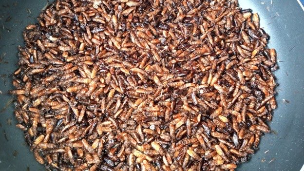 ᴮᴱᴿᴿᵞ🍀 tweet media