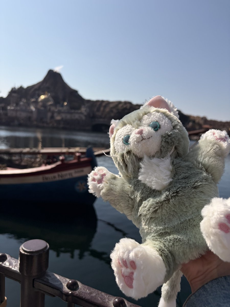 ことり tweet media