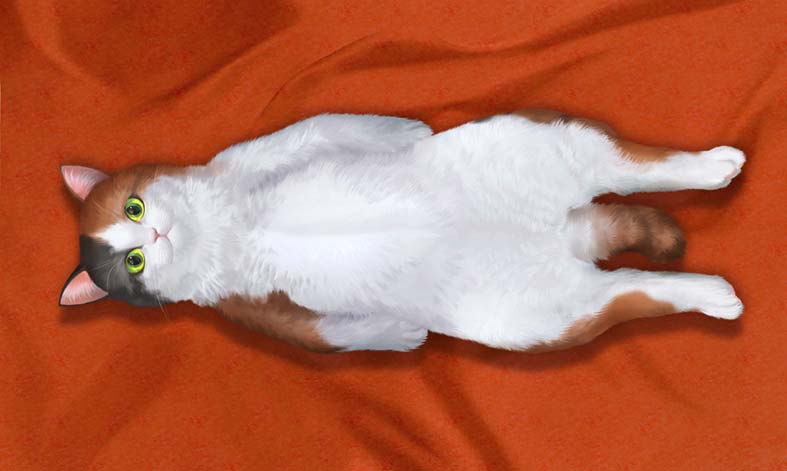 Hiro Suda 寿多 浩 tweet media