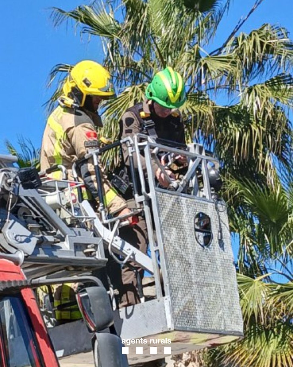 Agents Rurals tweet media