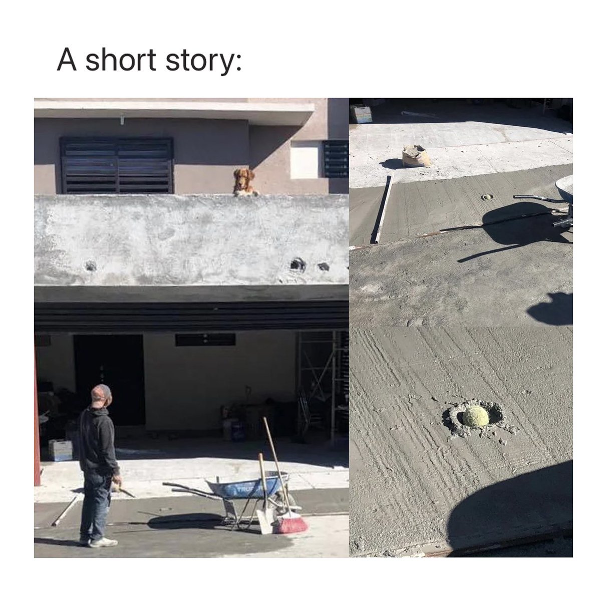 Men's Humor tweet media