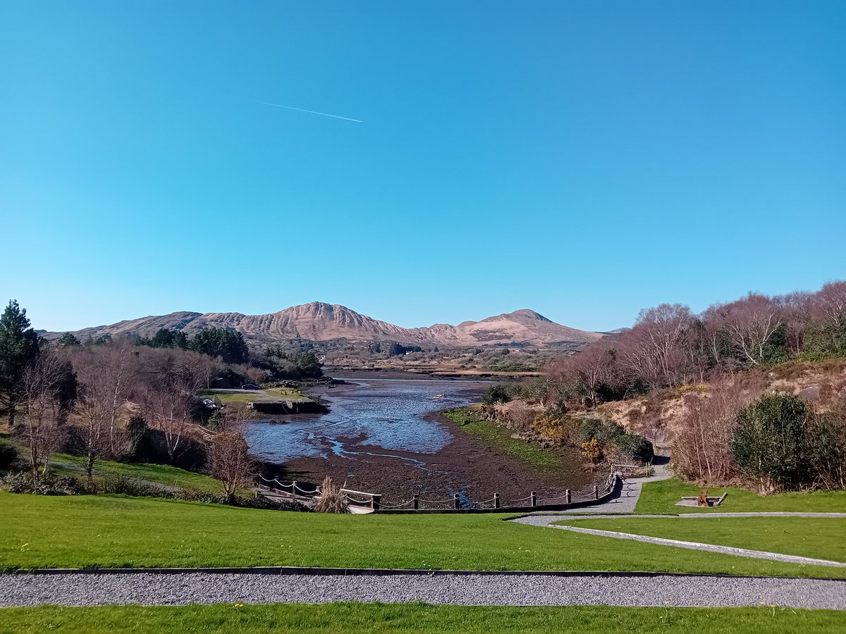 ☘️ Today in Ireland ☘️ tweet media