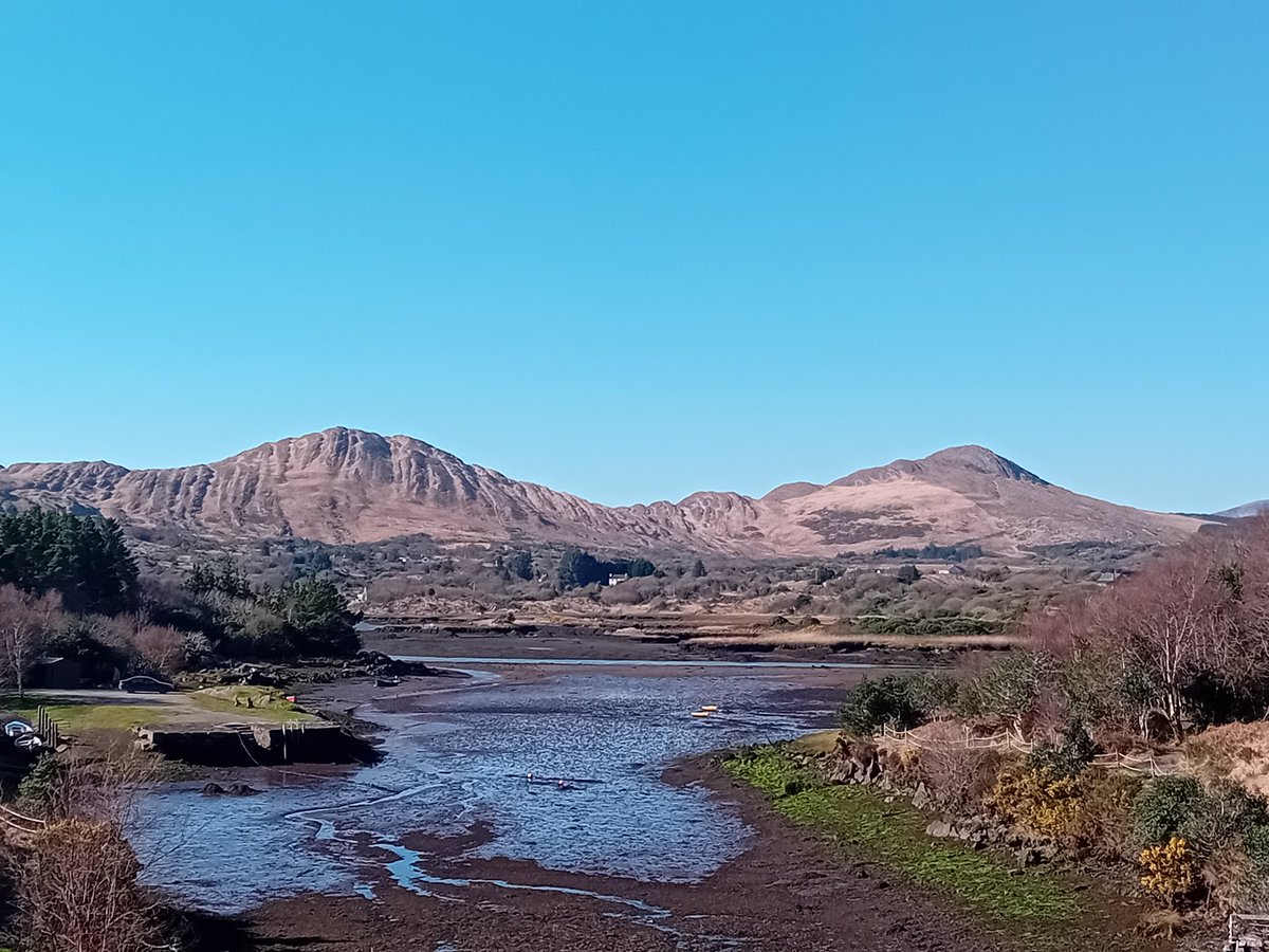 ☘️ Today in Ireland ☘️ tweet media