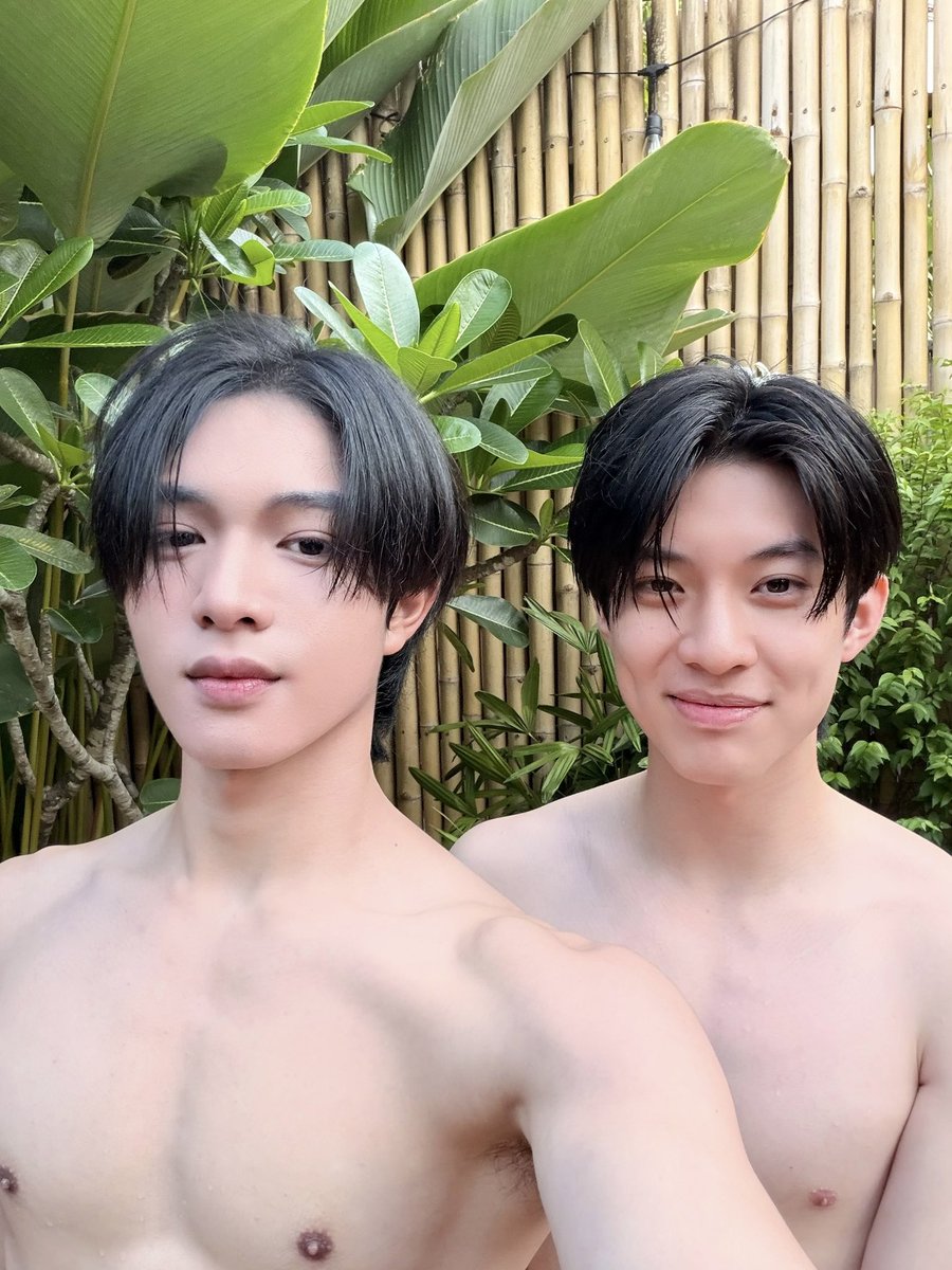 แอสตัน (Aston) 🍃🐣 tweet media