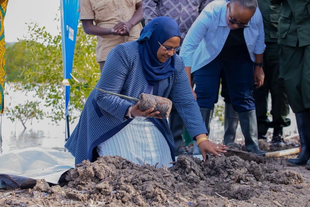 URT Updates tweet media