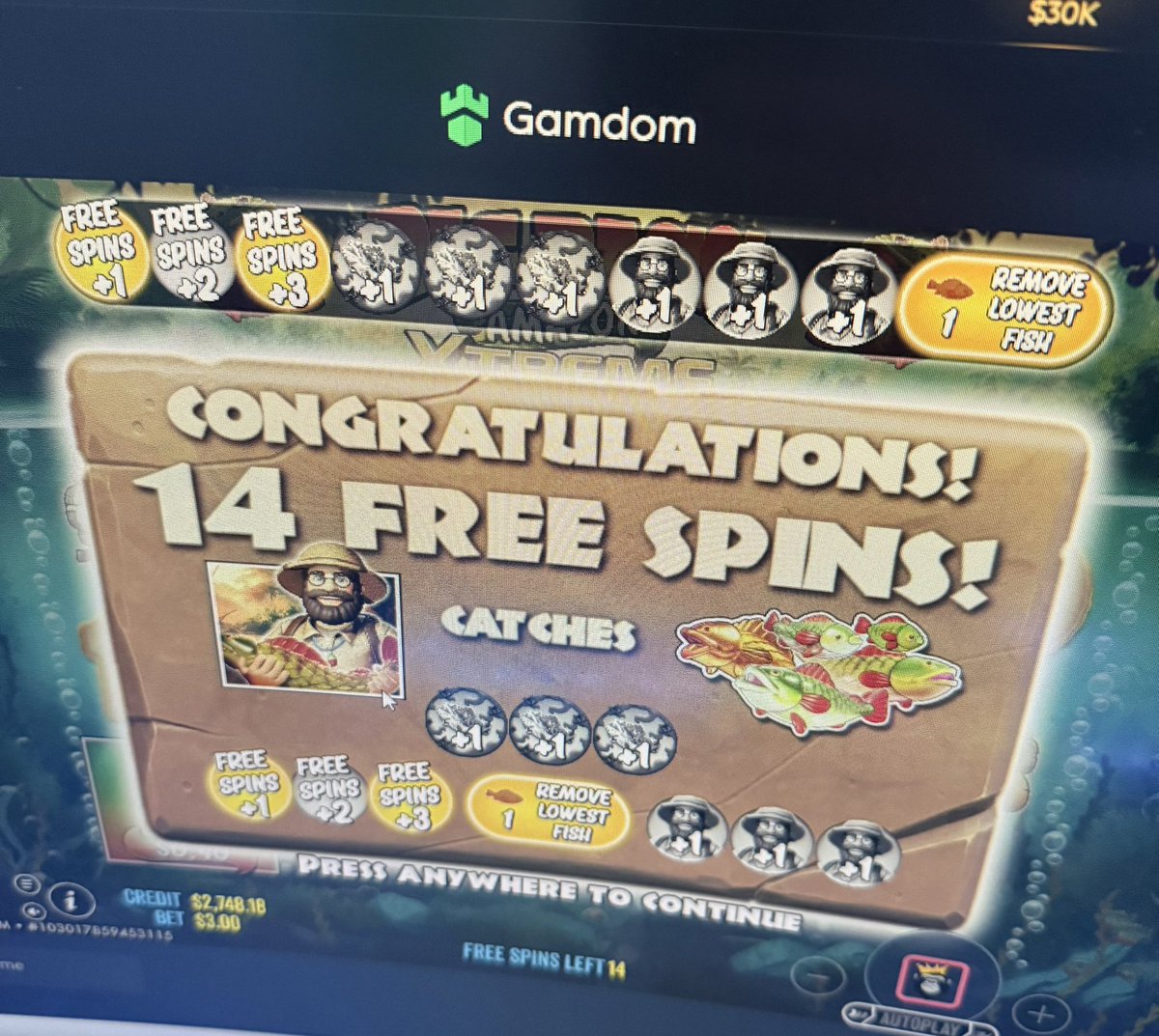 FunghiSlots tweet media