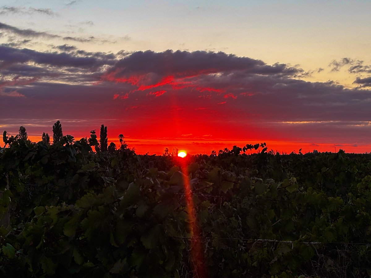 MATIPASCUALETTI's tweet photo. Buen jueves
Así amanece #Mendoza https://t.co/dHXrOBE6mS
