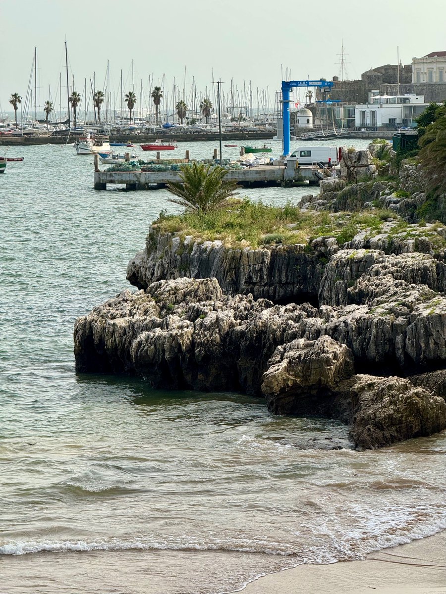 Andrii Bondar tweet media