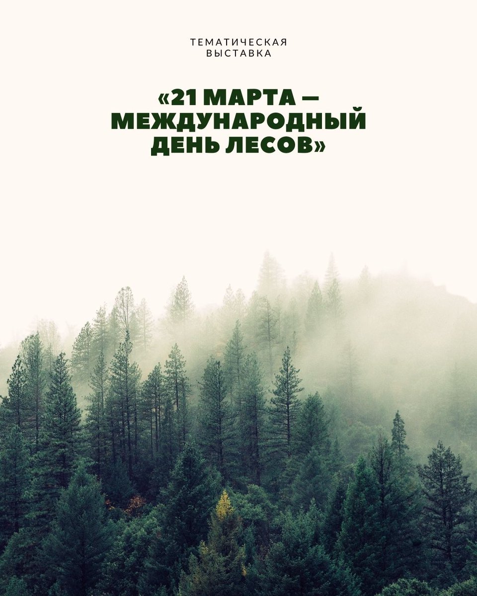 BelalLibrary's tweet photo. В Белорусской сельскохозяйственной библиотеке проходит тематическая выставка изданий, посвященная Международному дню лесов.
Приглашаем ознакомиться с презентацией и списком документов, которые представлены на выставке по ссылке: https://t.co/1oVPiSDXfr https://t.co/DTzRqdPauO