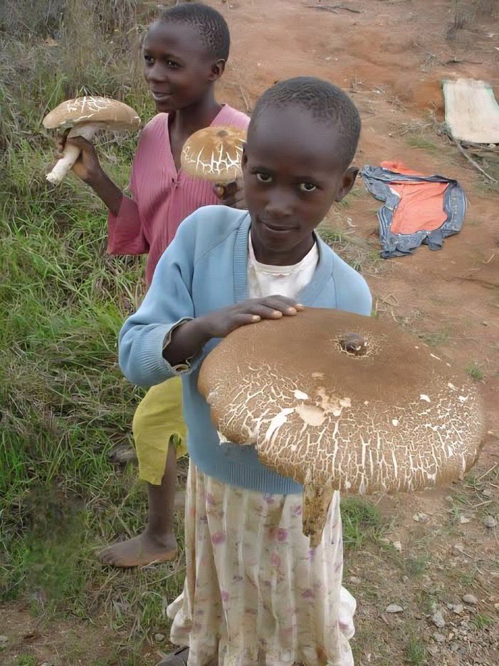 ALEXANDER tweet media