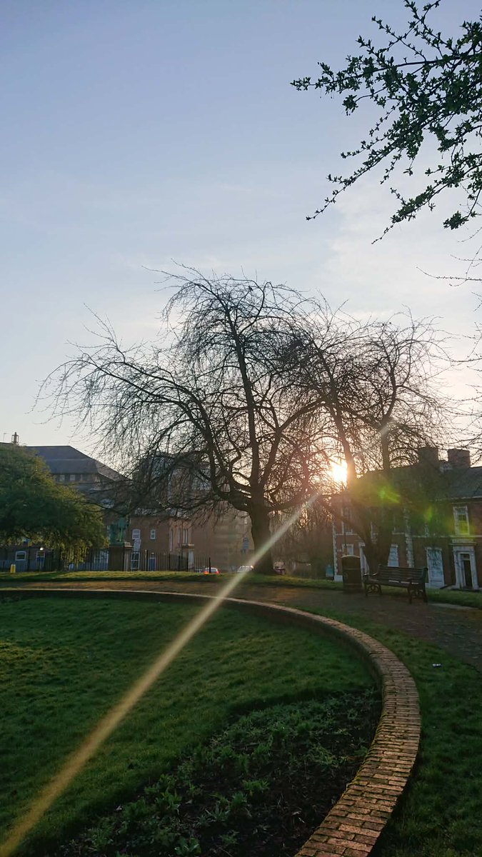 Jared of OK Comics tweet media