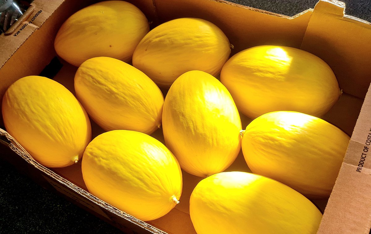 JKN Outreach tweet media