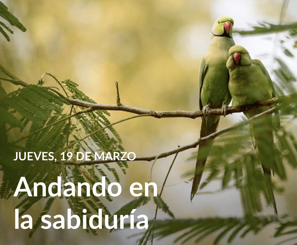 César Terrones Mayta tweet media