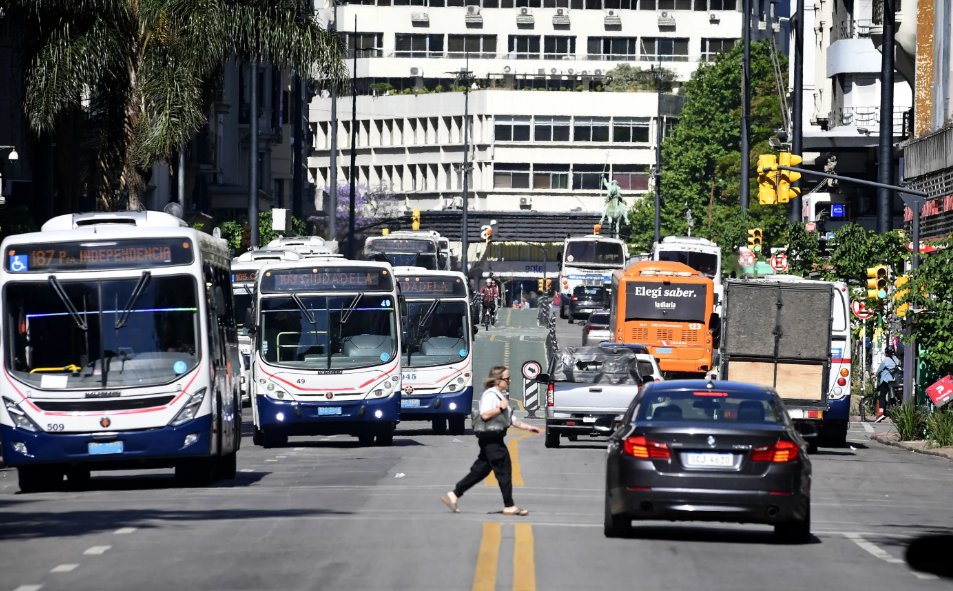 Luis Custodio tweet media