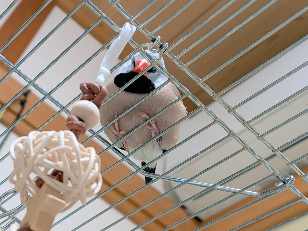 スタとフォグ tweet media