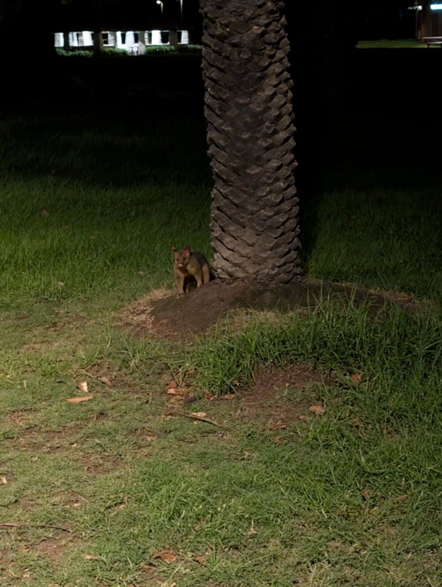 ♡🥀𝖈𝖔𝖗𝖗𝖚𝖕𝖙𝖊𝖉 𝖆𝖓𝖌𝖊𝖑🪽♡ 🔆 🏳️‍⚧️ 🇵🇸 tweet media