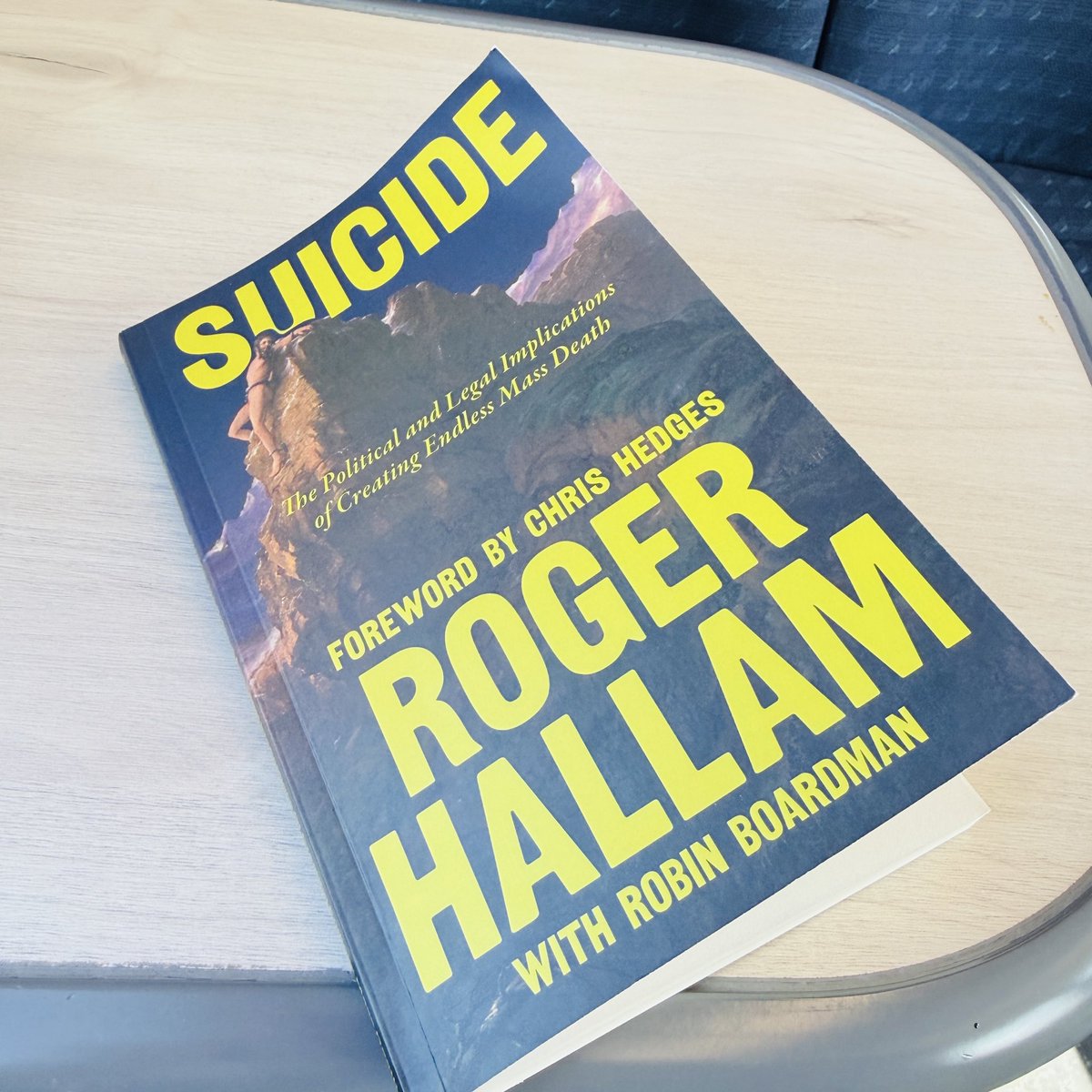 Monica Piccinini tweet media