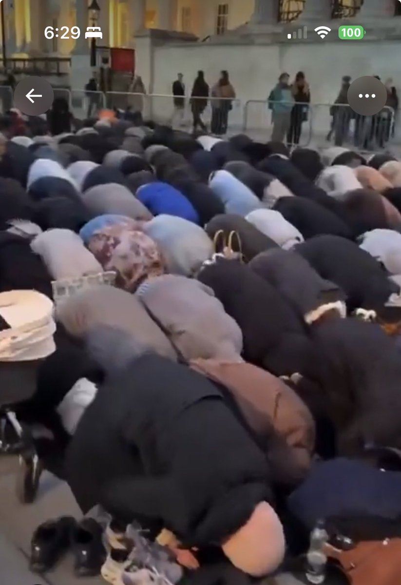 Dennis Michael Lynch tweet media