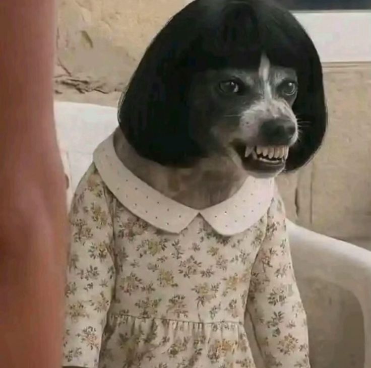 NotDylanThomas tweet media