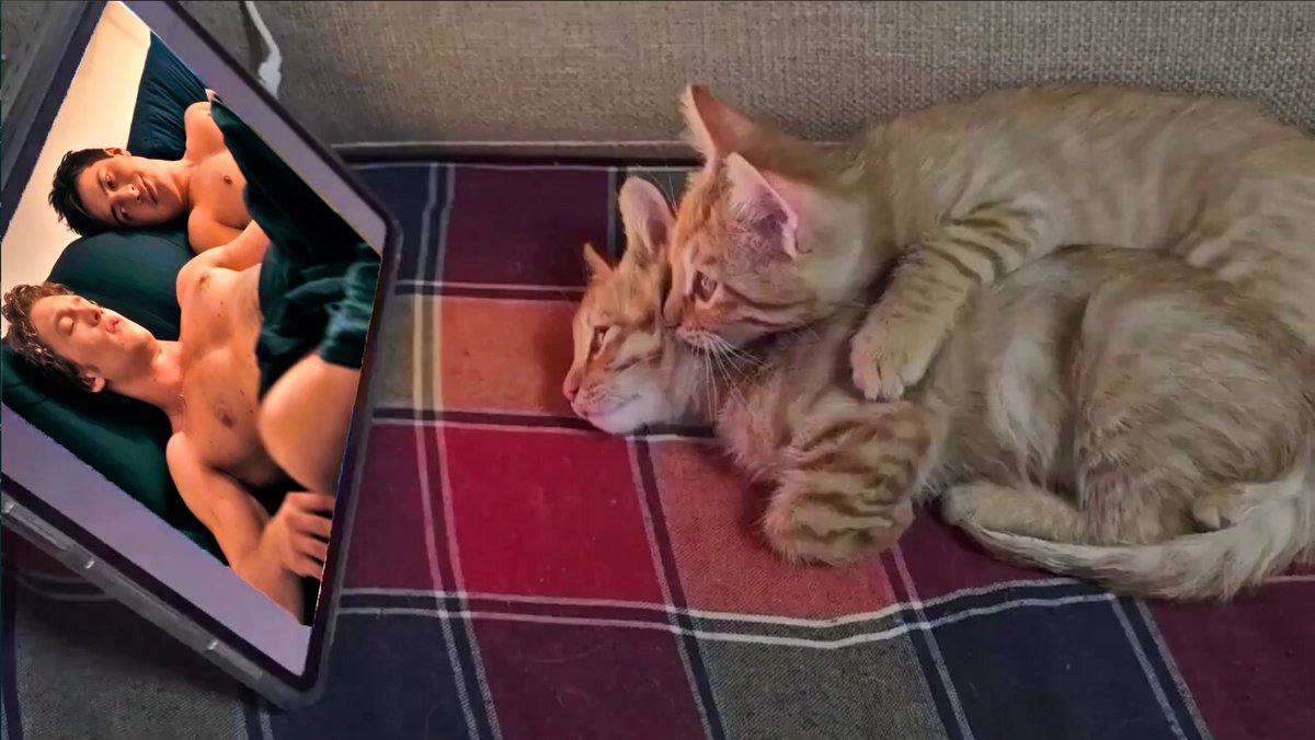 Movistar Plus+ tweet media