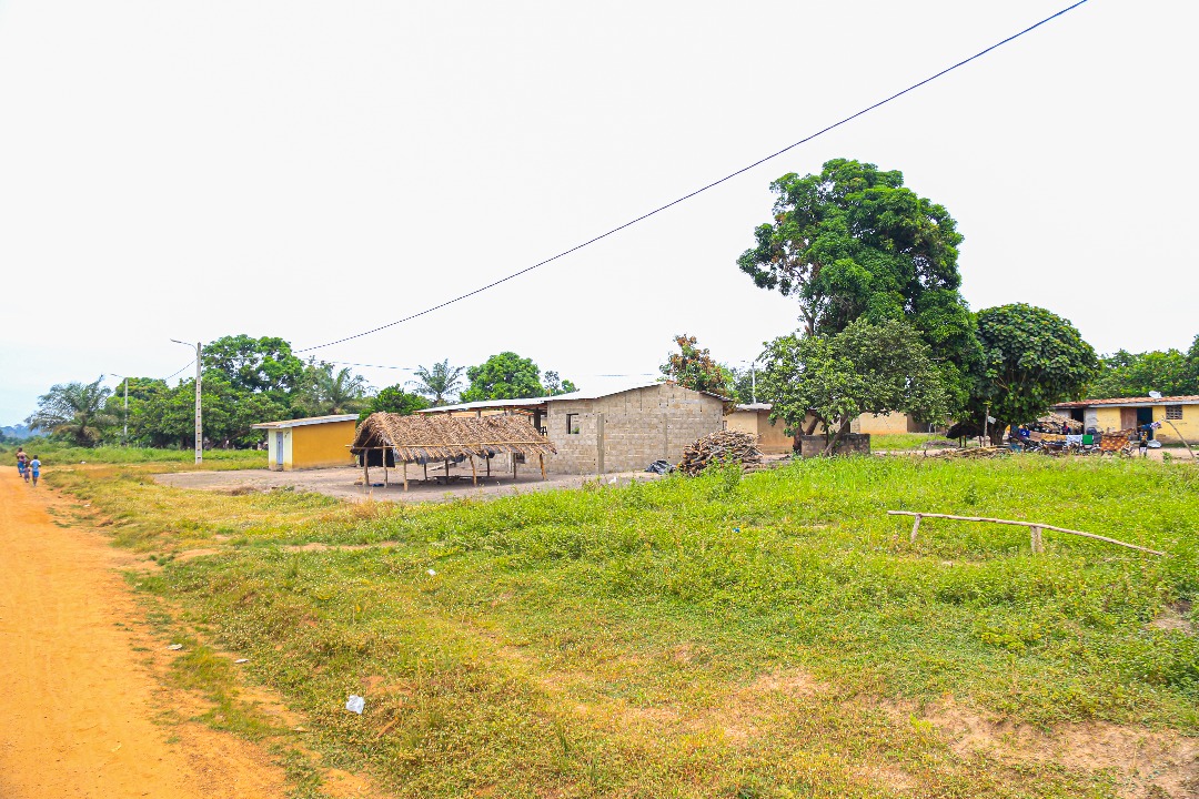 LSHTM RAFT tweet media