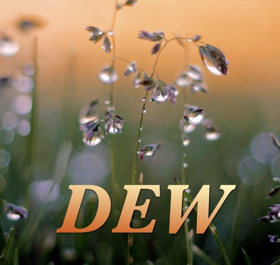 Unchained Symphonies tweet media